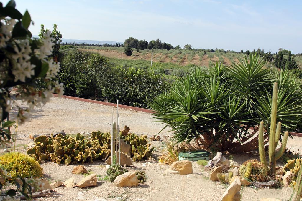Palmas Dorada Home Олмедо Екстериор снимка